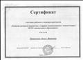 Сертификат участника районного семинара-практикума "Развитие речевого творчества у старших дошкольников в соответствии с ФГОС дошкольгого образования", 2016 г.