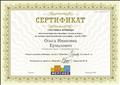 Сертификат участника вебинара "Автоматизация поставленных звуков в играх на лексико-грамматические категории у детей с ОВЗ", 2018 г.